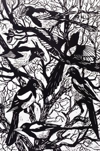Magpies, 1997